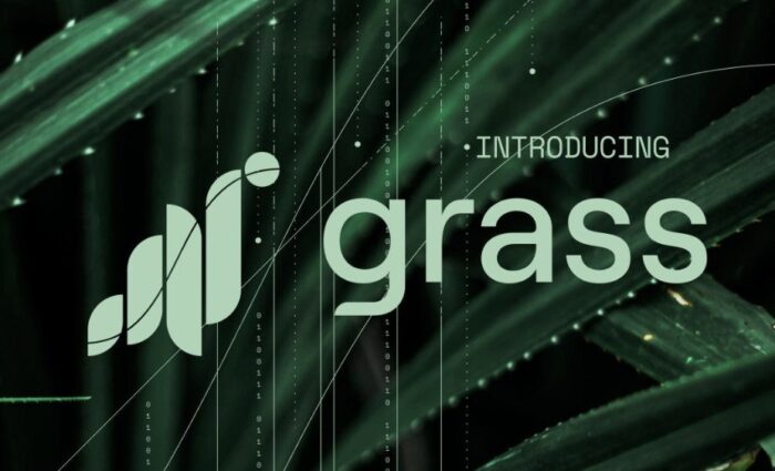 Getgrass: что это, расширение, когда листинг и airdrop